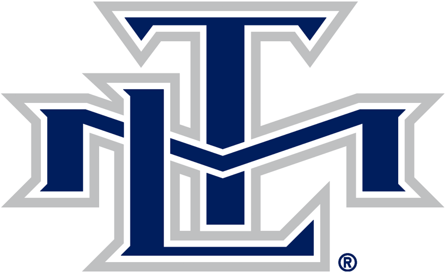 Toronto Maple Leafs 2000-2007 Alternate Logo fabric transfer